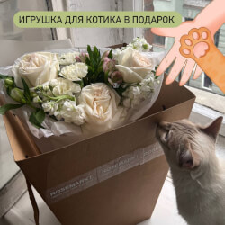 Раф на кошачей мяте: букет из ароматных цветов в белой гамме Раф на кошачей мяте: букет из ароматных цветов в белой гамме