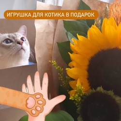 Алиса: солнечный букет с подсолнухами и леукаспермумами, в стильном крафте Алиса: солнечный букет с подсолнухами и леукаспермумами, в стильном крафте