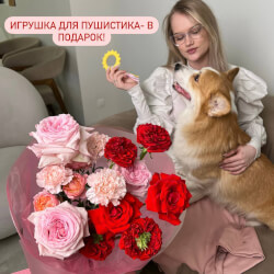Букет «Комочек счастья: пионовидные розы Рэд ай и Пинк Охара, французская роза Нина» Букет «Комочек счастья: пионовидные розы Рэд ай и Пинк Охара, французская роза Нина»