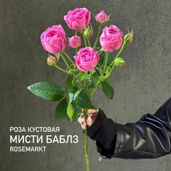 Букет «Мисти Баблз, штучно» Букет «Мисти Баблз, штучно»