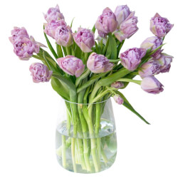 Букет «Сиреневые пионовидные тюльпаны» Букет «Сиреневые пионовидные тюльпаны»