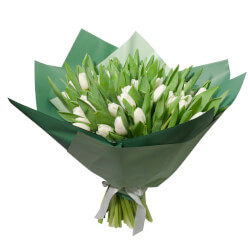 Букет «51 белый тюльпан в упаковке» Букет «51 белый тюльпан в упаковке»