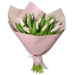Букет «21 розовый тюльпан в упаковке» Букет «21 розовый тюльпан в упаковке»