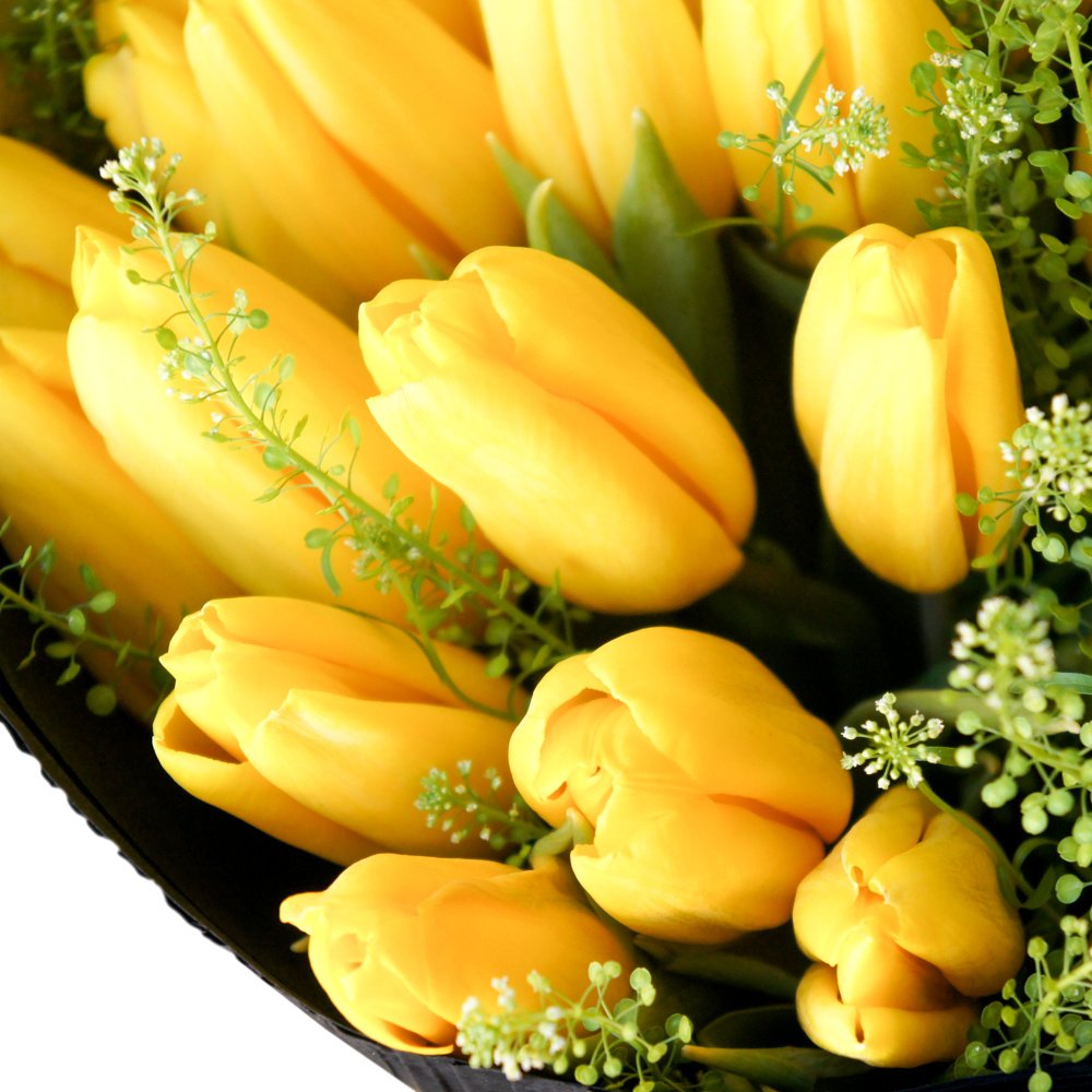 Фото тюльпаны желтые букет фото