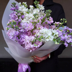 Букет «Ароматная маттиола: фактурные соцветия и лёгкий аромат + аквабокс и коробка-переноска» Букет «Ароматная маттиола: фактурные соцветия и лёгкий аромат + аквабокс и коробка-переноска»