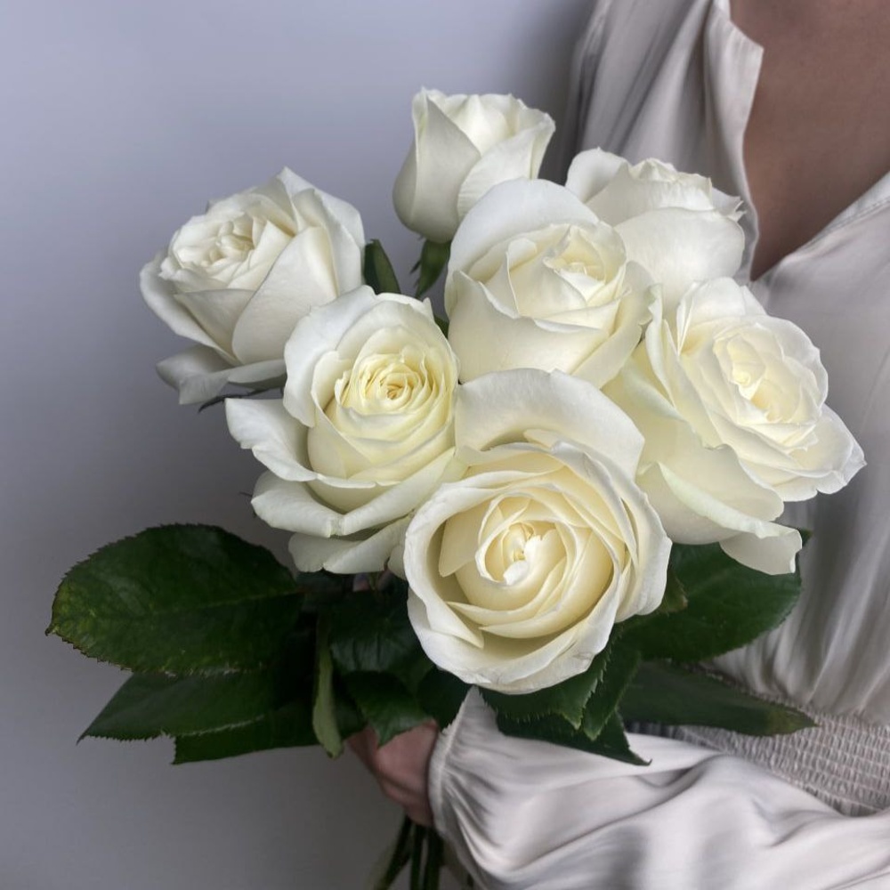 Купить большой букет из белой розы с атласной лентой