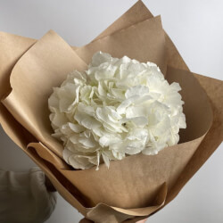 Букет «Свежая белая гортензия в крафт » Букет «Свежая белая гортензия в крафт »