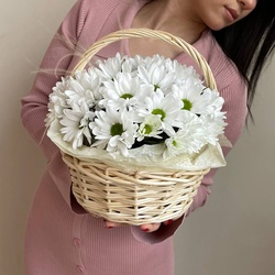 Букет «Нежное прикосновение: корзина с белыми хризантемами» Букет «Нежное прикосновение: корзина с белыми хризантемами»