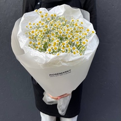 Букет «Ромашковый Ти: 9 ромашек в лаконичной упаковке» Букет «Ромашковый Ти: 9 ромашек в лаконичной упаковке»