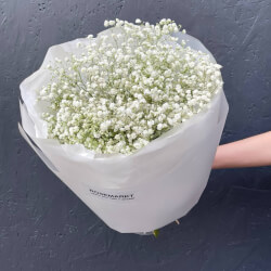 Букет «Белоснежный пони: 5 гипсофил в лаконичной упаковке» Букет «Белоснежный пони: 5 гипсофил в лаконичной упаковке»