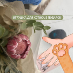 Букет «Лапки и усики: экзотическая протея с сухоцветами» Букет «Лапки и усики: экзотическая протея с сухоцветами»