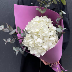 Букет «В самое сердце: белая гортензия и эвкалипт» Букет «В самое сердце: белая гортензия и эвкалипт»