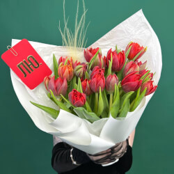 Букет «Марсала: 25 красных пионовидных тюльпанов + коробка-переноска с аквабоксом» Букет «Марсала: 25 красных пионовидных тюльпанов + коробка-переноска с аквабоксом»