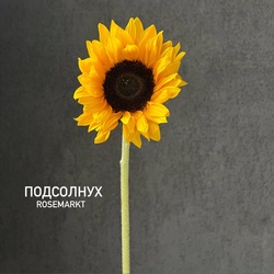 Букет «Подсолнухи» Букет «Подсолнухи»